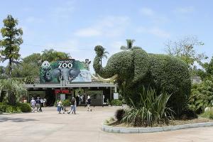 Zoo bez mříží v San Diegu
