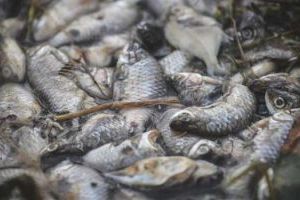 Nyos – jezero smrti opět hrozí