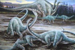 Žijí v Kongu stále sauropoidní dinosauři?