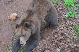 Zoopark v Chomutově – největší ZOO v ČR